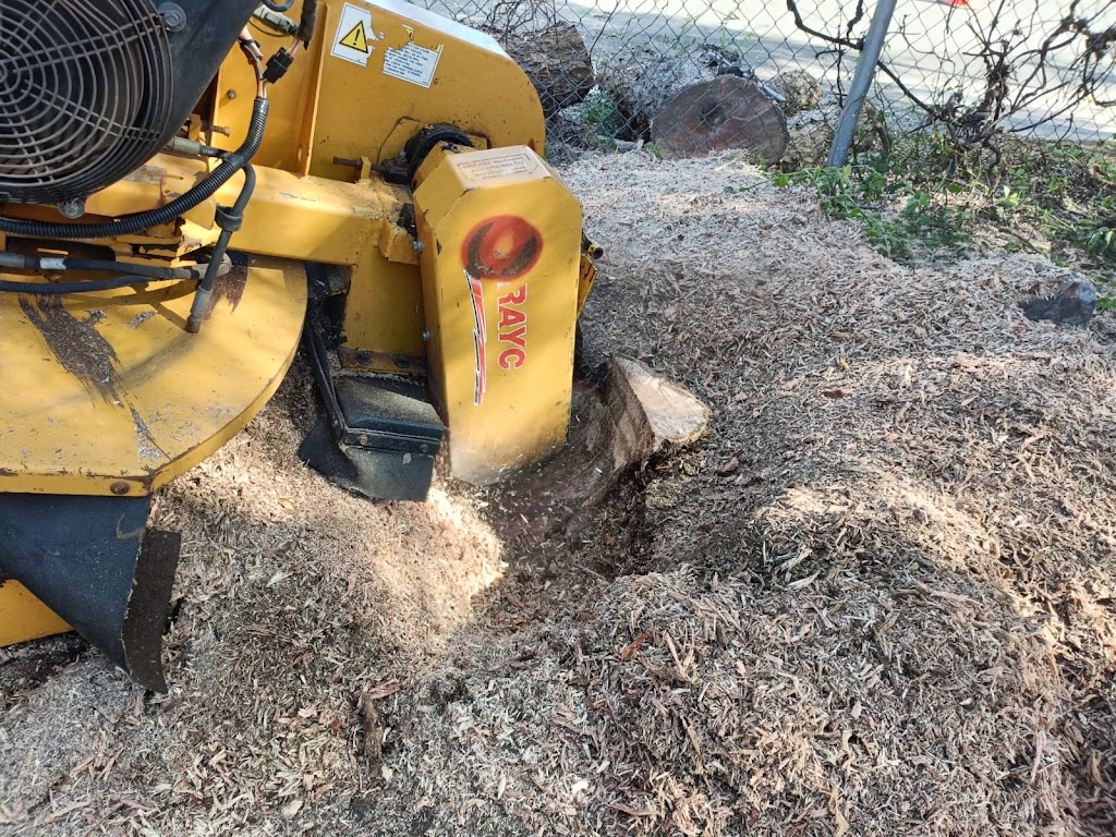 ASAP Arborist | 299 Millvale Rd, Dromedary TAS 7030, Australia | Phone: 0430 682 039