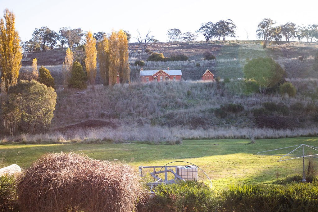 Saltash Farm | 12 Naylor St, Carcoar NSW 2791, Australia | Phone: 0402 468 048