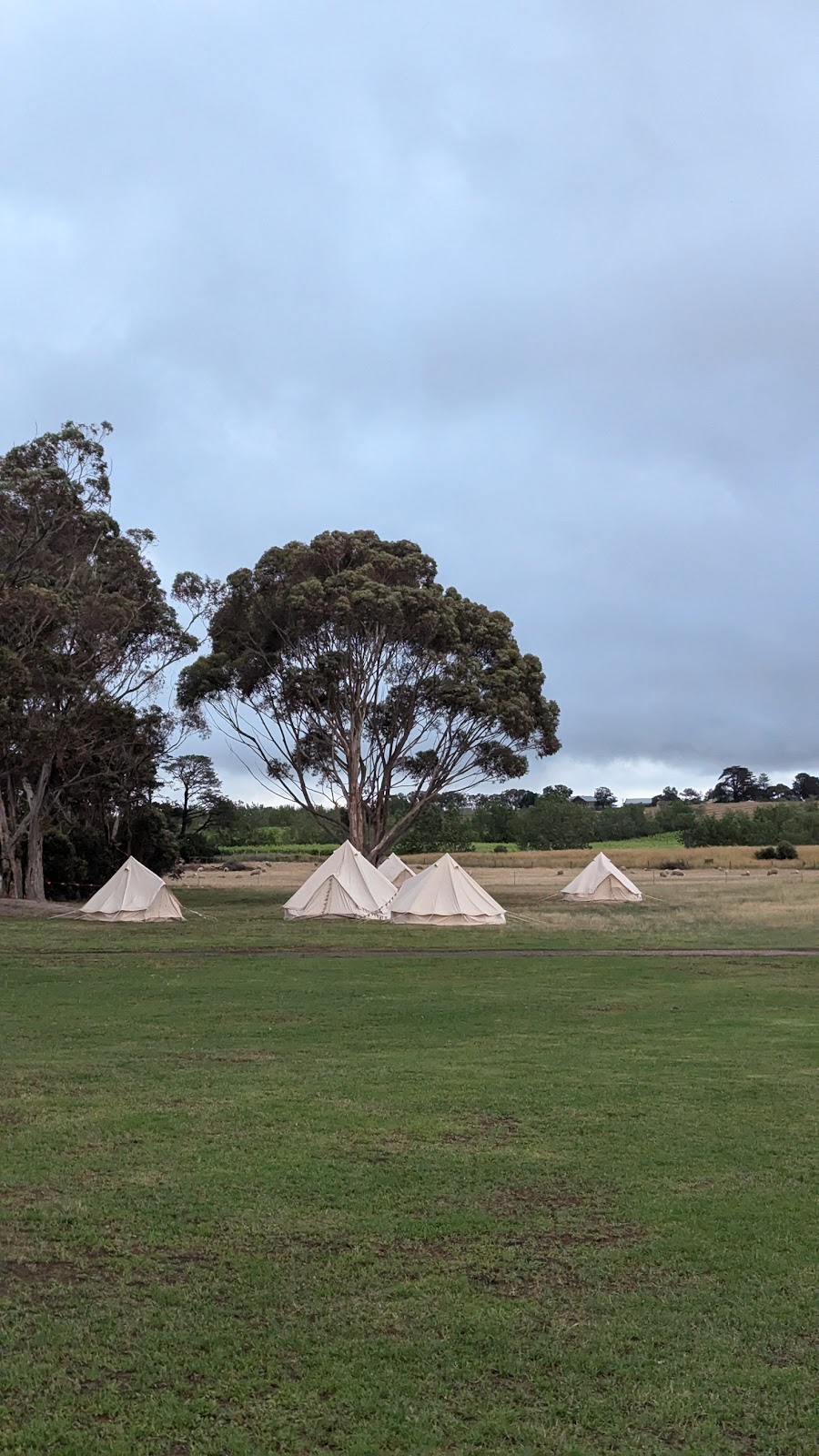 Thirty Acres Distillery | 2270 Portarlington Rd, Bellarine VIC 3223, Australia | Phone: (03) 5259 3310