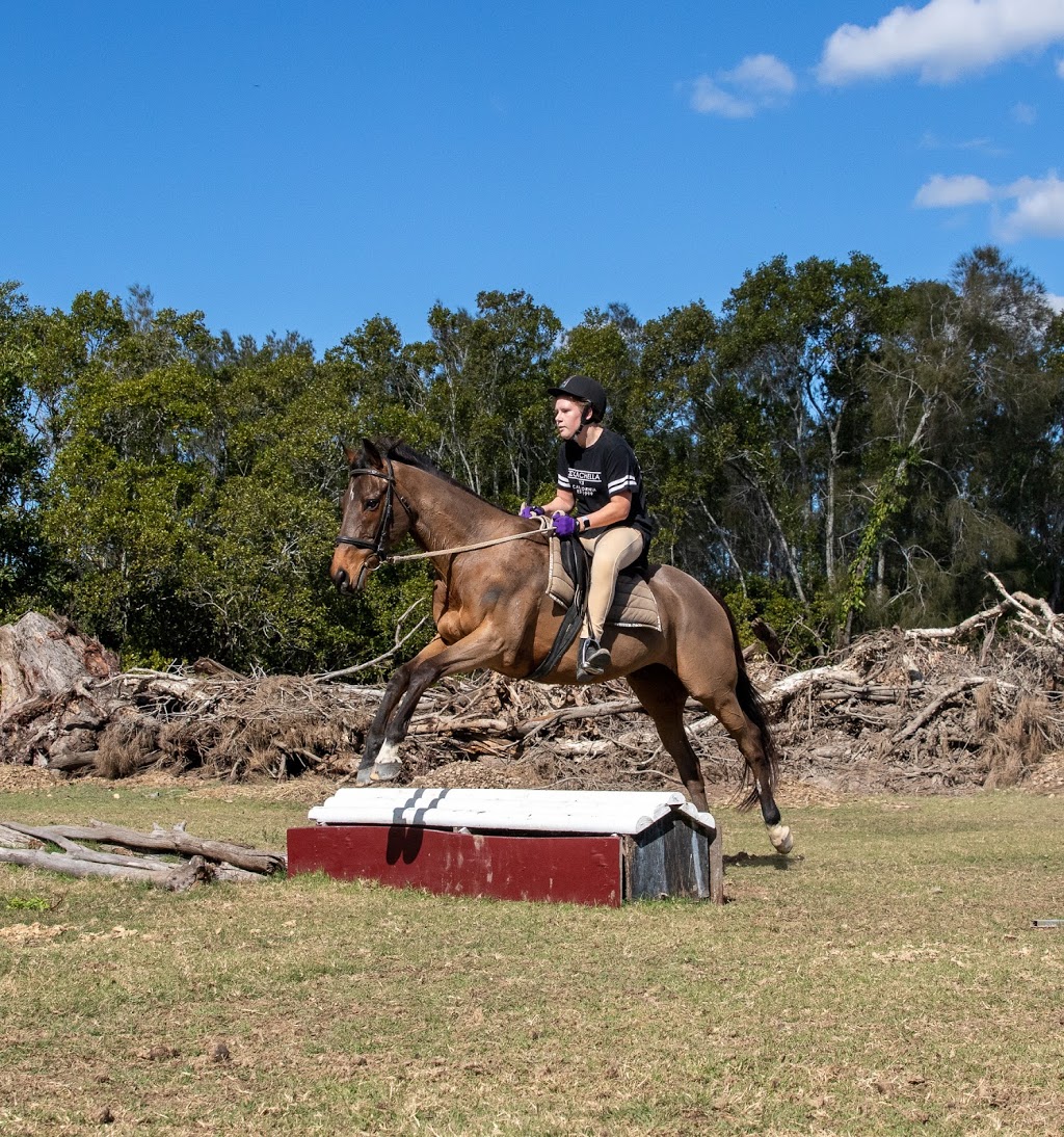 Crestline Equestrian | 19 Fischer Rd, Carbrook QLD 4130, Australia | Phone: 0403 873 845