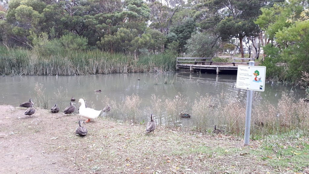 Taylor Park | Torquay VIC 3228, Australia