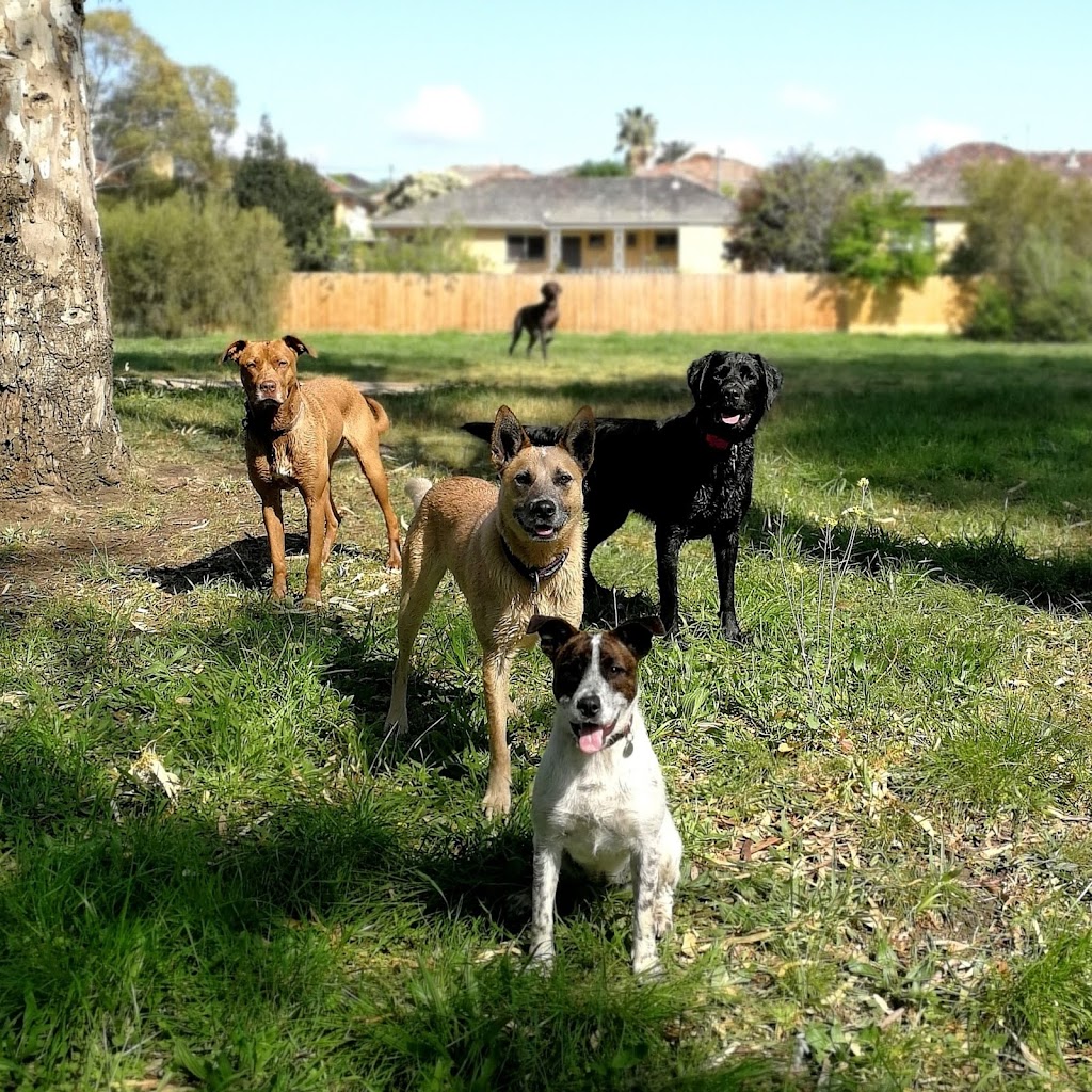 Christopher Walking - Melbourne Dog Walking & Daycare | 23 Hooper Cres, Brunswick West VIC 3055, Australia | Phone: 0476 127 949
