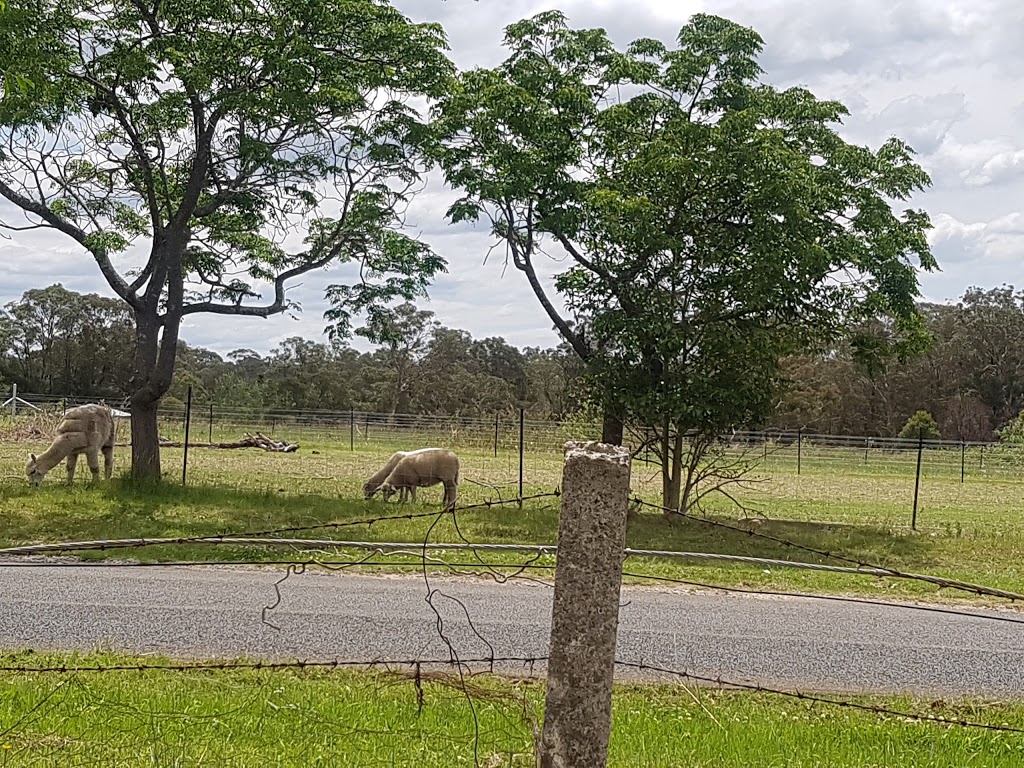 Cedar Creek Orchard | 269 Mulhollands Rd, Thirlmere NSW 2572, Australia | Phone: (02) 4681 8457