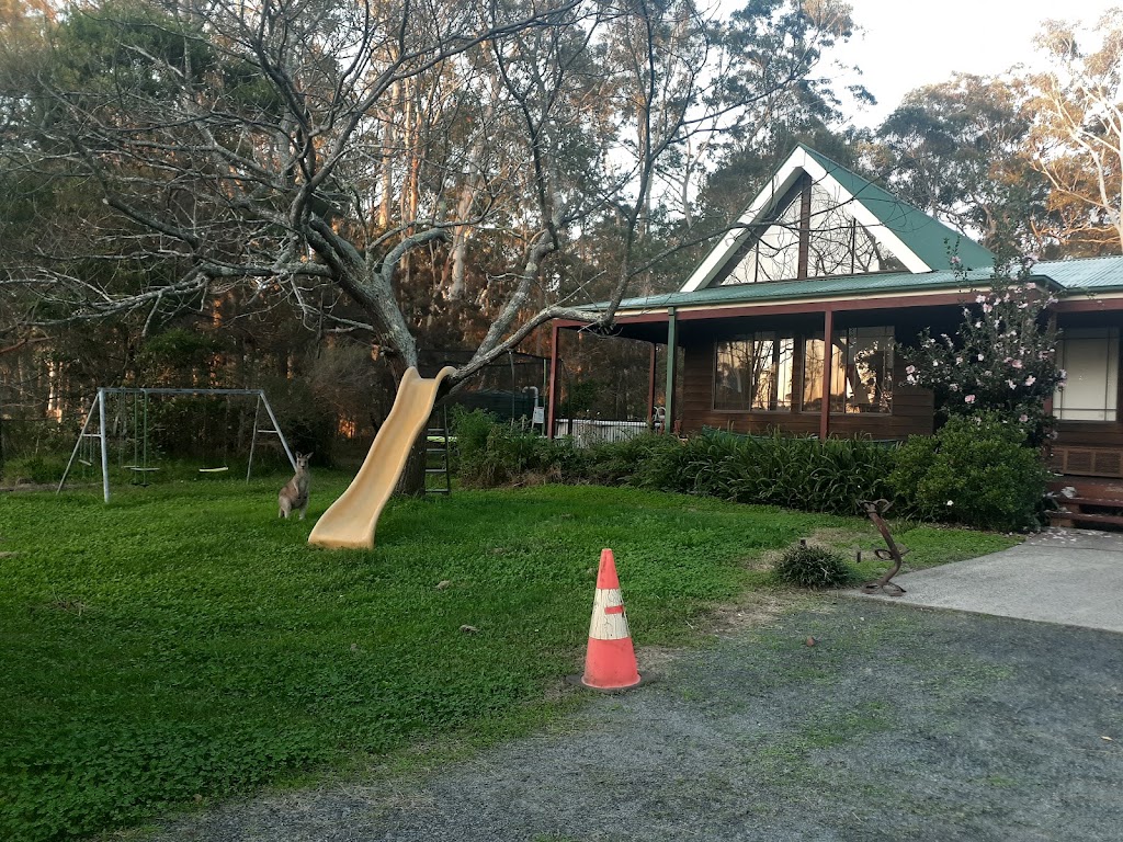 OzE Powered Paragliders | Swamp Rd, Jaspers Brush NSW 2535, Australia | Phone: 0428 925 483