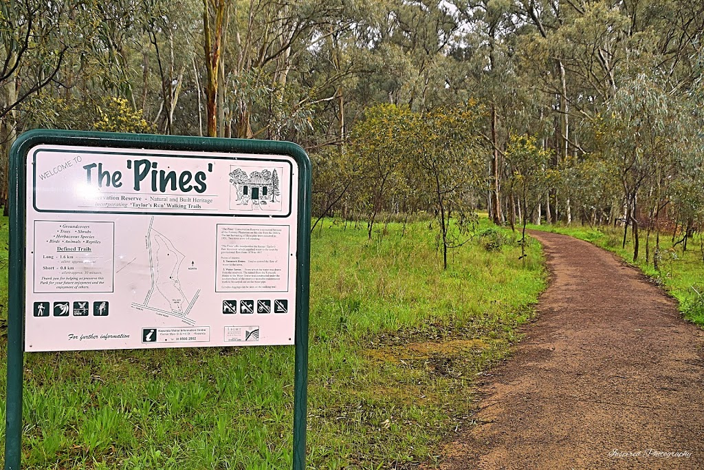 The Pines Reserve | park | Tarlee Rd, Kapunda SA 5373, Australia