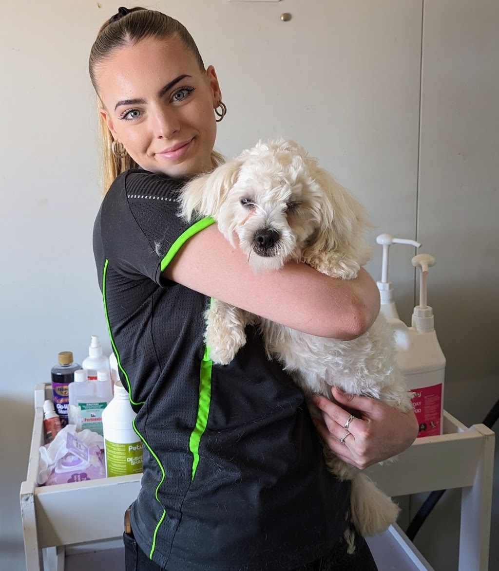 Pampered Pets Grooming Service | 240 Boulder Rd, South Kalgoorlie WA 6430, Australia | Phone: (08) 6010 0801