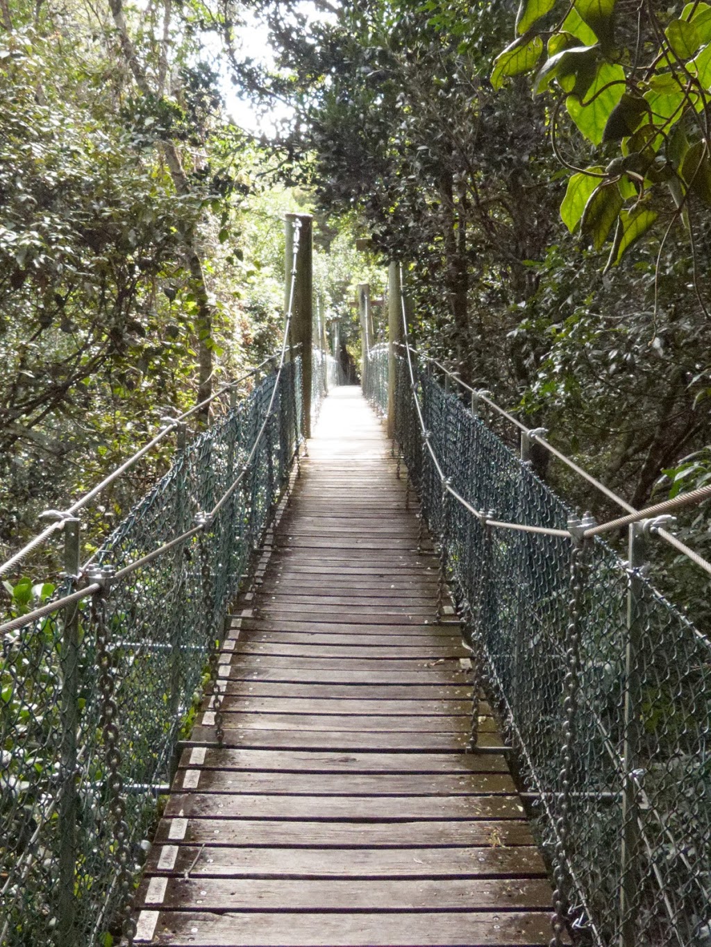 Lamington National Park | Queensland, Australia | Phone: 13 74 68