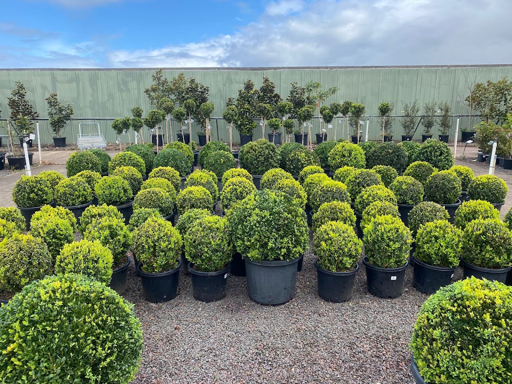 Plantmark Wantirna | 771 Boronia Rd, Wantirna VIC 3152, Australia | Phone: (03) 9845 6900