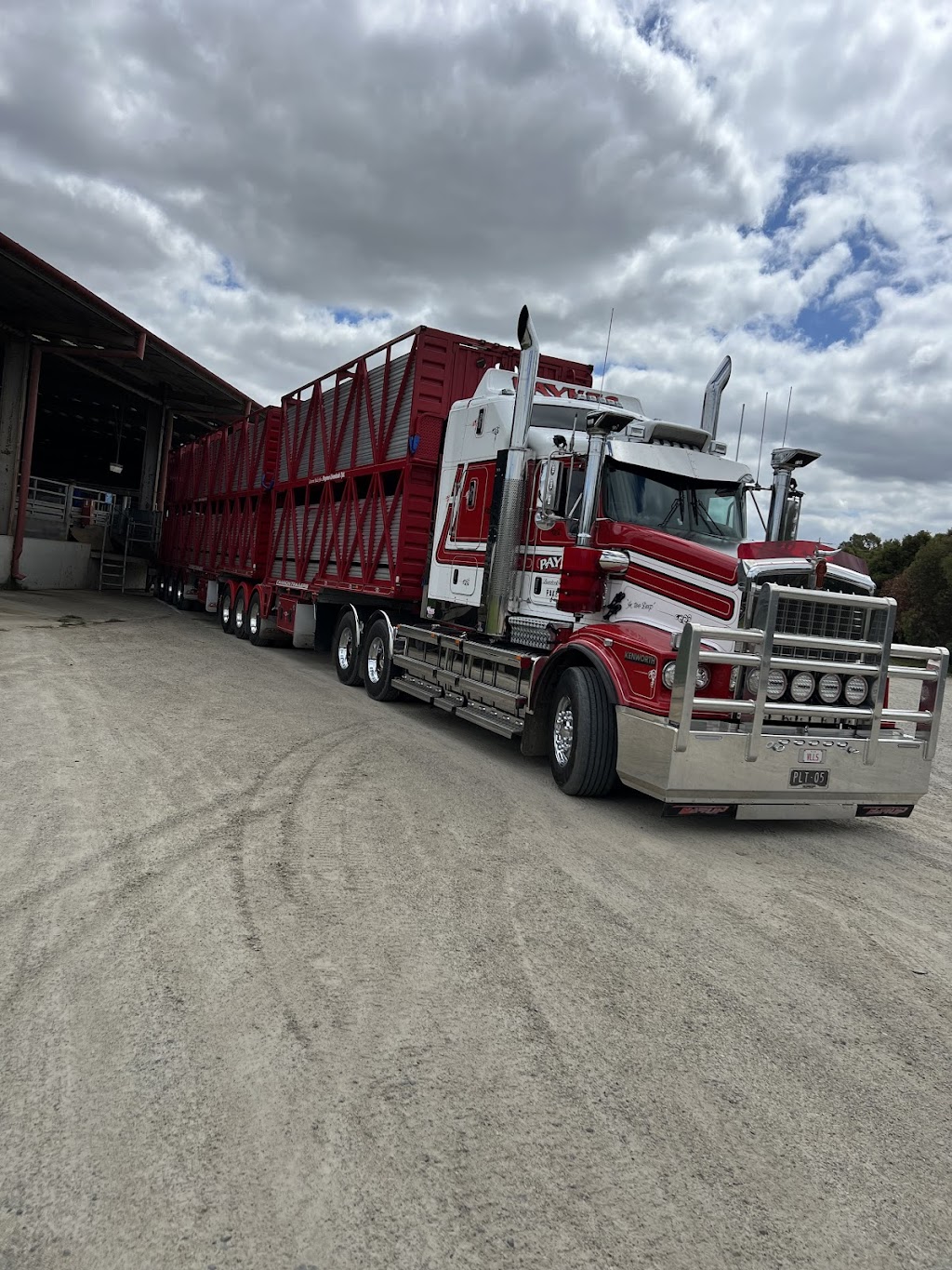 Paynes Livestock Transport | 50 Hall Rd, Pakenham South VIC 3810, Australia | Phone: 0408 344 194