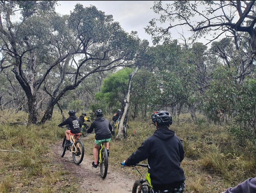 Southern Exposure Trail Head | Great Ocean Rd, Anglesea VIC 3230, Australia | Phone: 0425 784 643