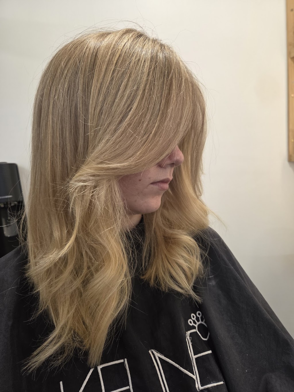 Hair By Shenae | Bray Park NSW 2484, Australia | Phone: 0426 918 337