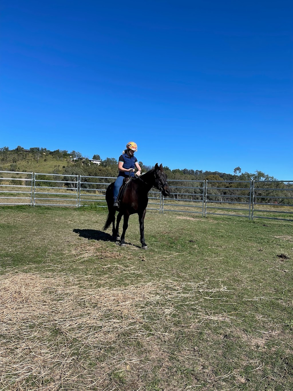 Giddy Up Farm | 2 Nelson Ln, Laidley Creek West QLD 4341, Australia | Phone: 0419 679 465