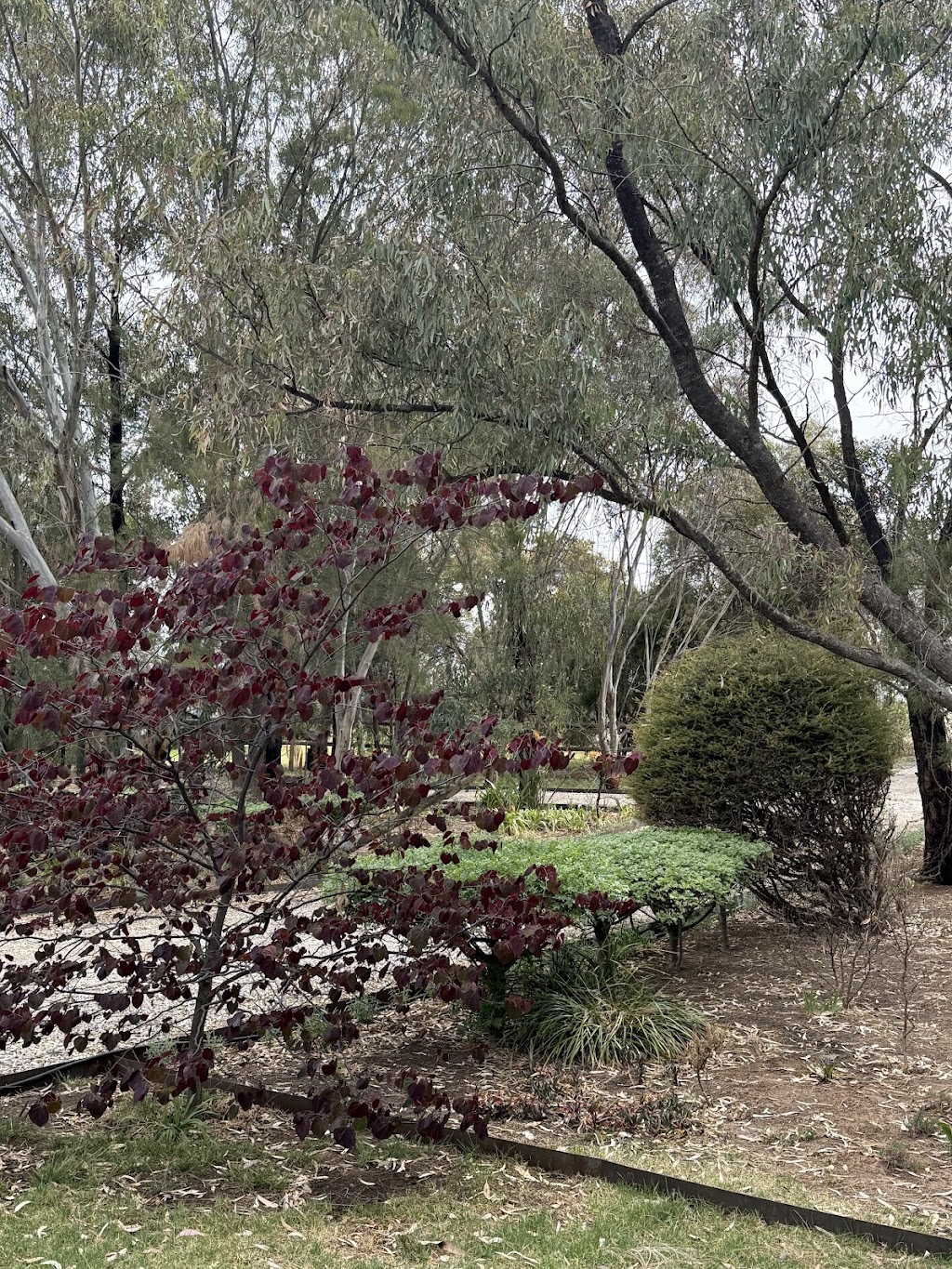 Mallee farm house | 290 N S Rd, Woorinen VIC 3588, Australia | Phone: 0448 233 370