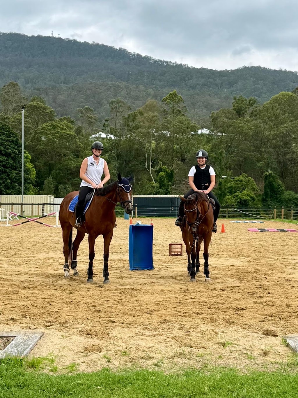 The Royal Palm Equine | 2450 Beaudesert Nerang Rd, Canungra QLD 4275, Australia | Phone: 0466 688 934
