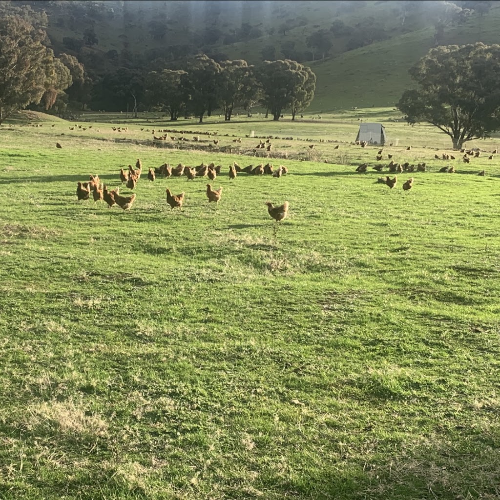 GREENMANTLE VALLEY PASTURED EGGS | food | 2198 Greenmantle Rd, Bigga NSW 2583, Australia | 0408428001 OR +61 408 428 001