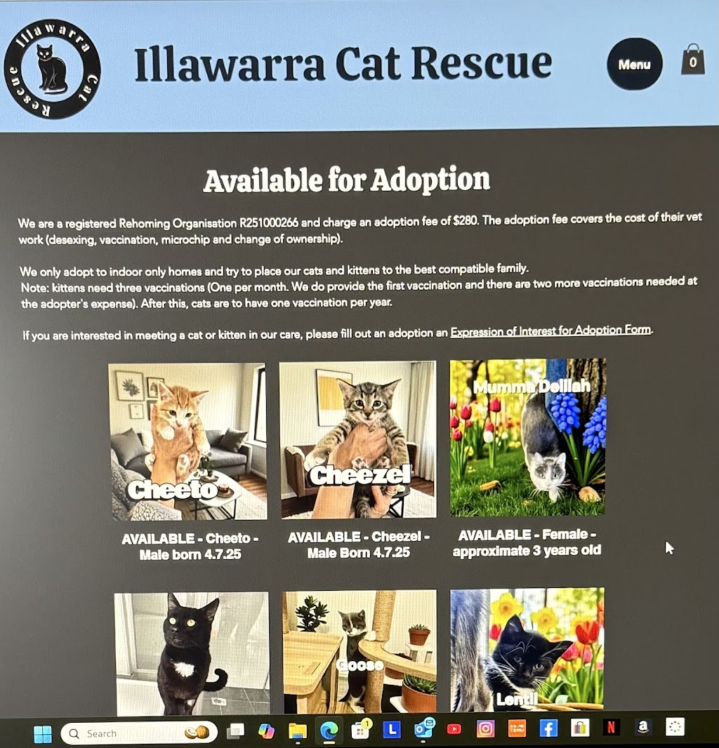 Illawarra Cat Rescue Limited | Unit 2/101 Esperance Dr, Albion Park NSW 2527, Australia | Phone: 0402 390 750