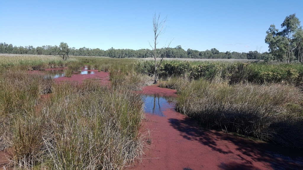 Moira National Park | Mathoura NSW 2710, Australia