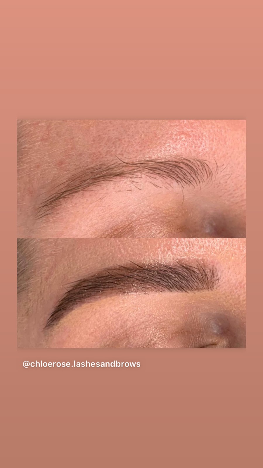 Chloe Rose Lashes & Brows | 6 Wirra Pl, Tewantin QLD 4565, Australia | Phone: 0411 803 115