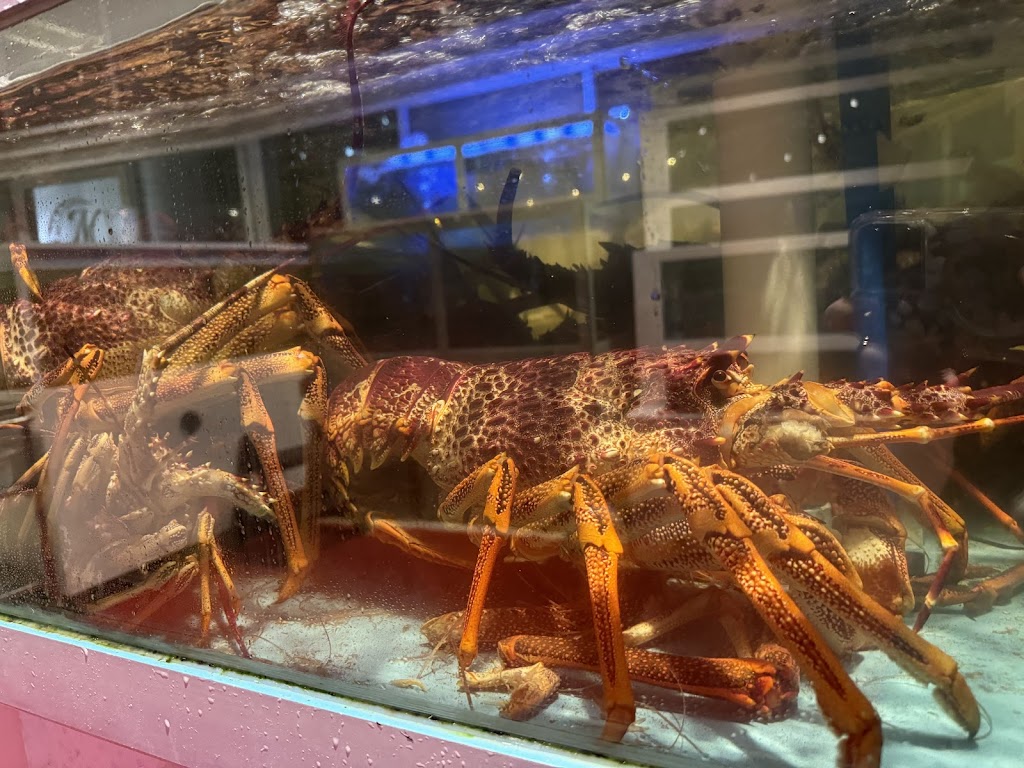 The Moon Chinese Seafood Restaurant 德月舫 | 15/114 Esplanade, Surfers Paradise QLD 4217, Australia | Phone: (07) 5564 6996