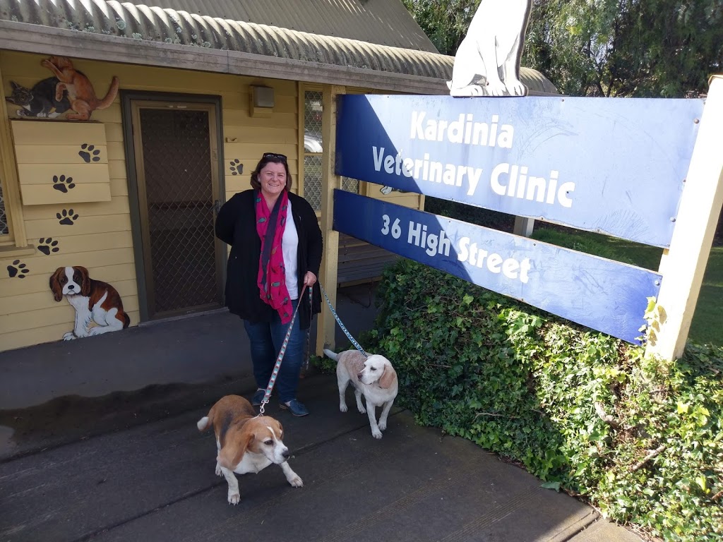 Kardinia Veterinary Clinic | veterinary care | 36 High St, Drysdale VIC 3222, Australia | 0352215122 OR +61 3 5221 5122