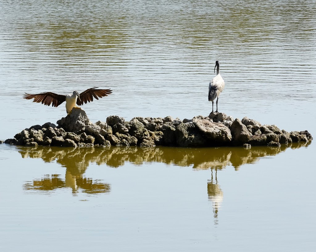 Alcoa Wellard Wetlands | park | Baldivis WA 6171, Australia