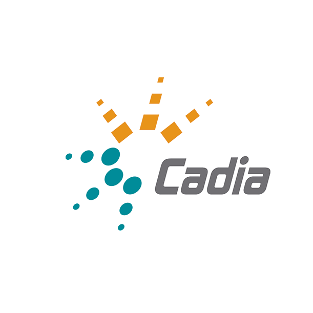 Cadia Group Pty Ltd | 2/4 Elwin Dr, Narrambla NSW 2800, Australia | Phone: 1300 422 342