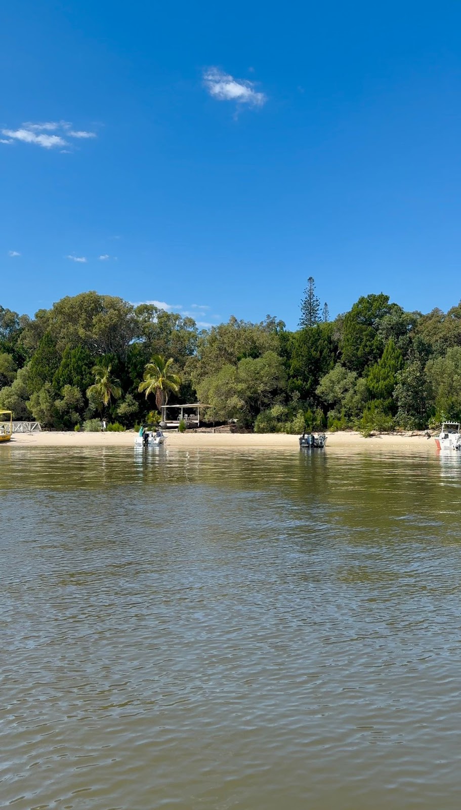 Wave Riders Jet Ski Tours | Muriel Henchman Park, Main Beach QLD 4217, Australia | Phone: 0420 234 184