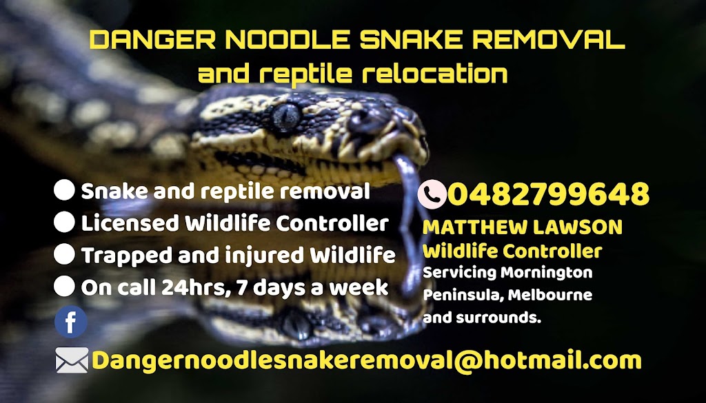 Danger Noodle Snake Removal | 28 Alexander Cres, Frankston VIC 3199, Australia | Phone: 0482 799 648