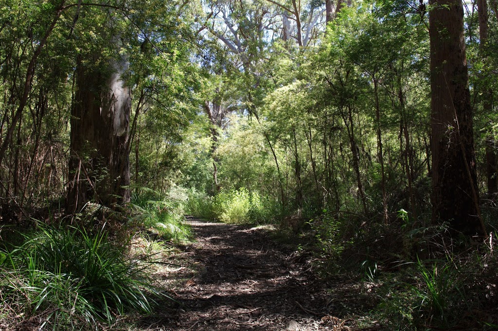 Mount Clare | park | LOT 2 Tinglewood Rd, Broke WA 6398, Australia