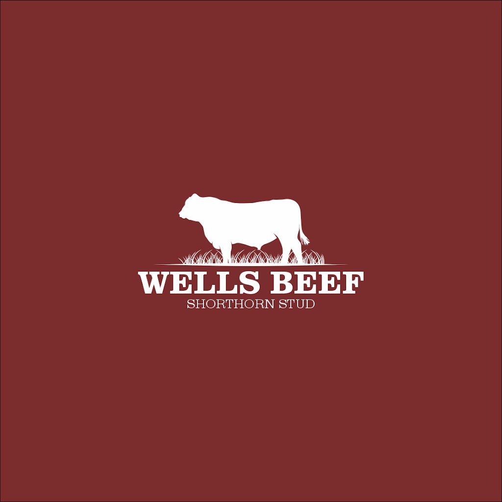 Wells Beef Shorthorn Stud | 132 Clarkes Rd, Greendale NSW 1116, Australia | Phone: 0408 022 225