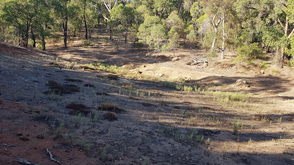 granite sheoak | park | 22 Range Rd, Millendon WA 6056, Australia