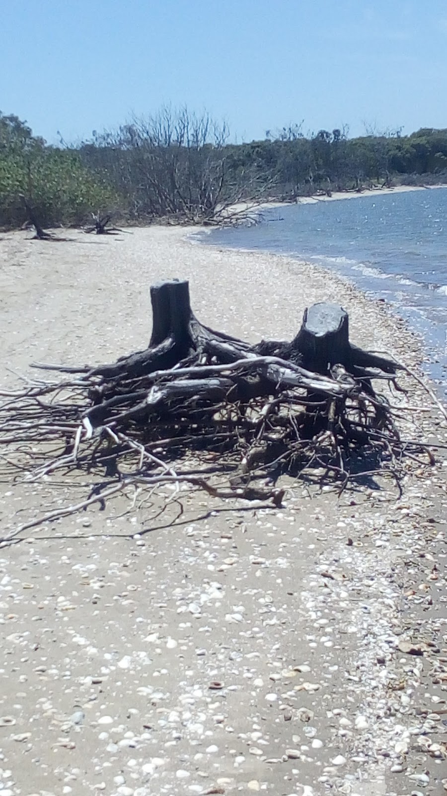 Hays Inlet Conservation Park 1 | park | Griffin QLD 4503, Australia