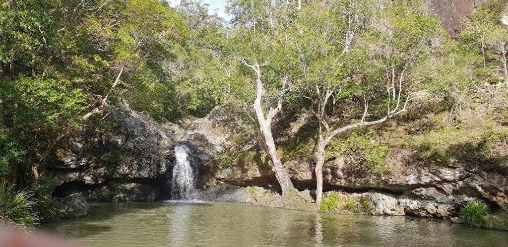 Kondalilla National Park | Kondalilla Falls Rd, Flaxton QLD 4560, Australia