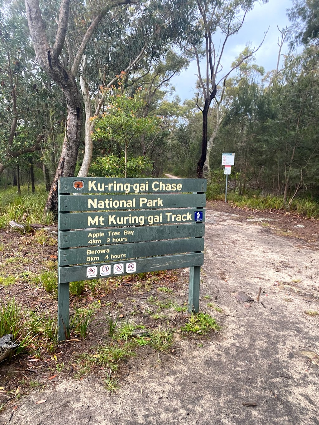 Mt Kuring-gai track | park | 2 Young St, Mount Kuring-Gai NSW 2080, Australia