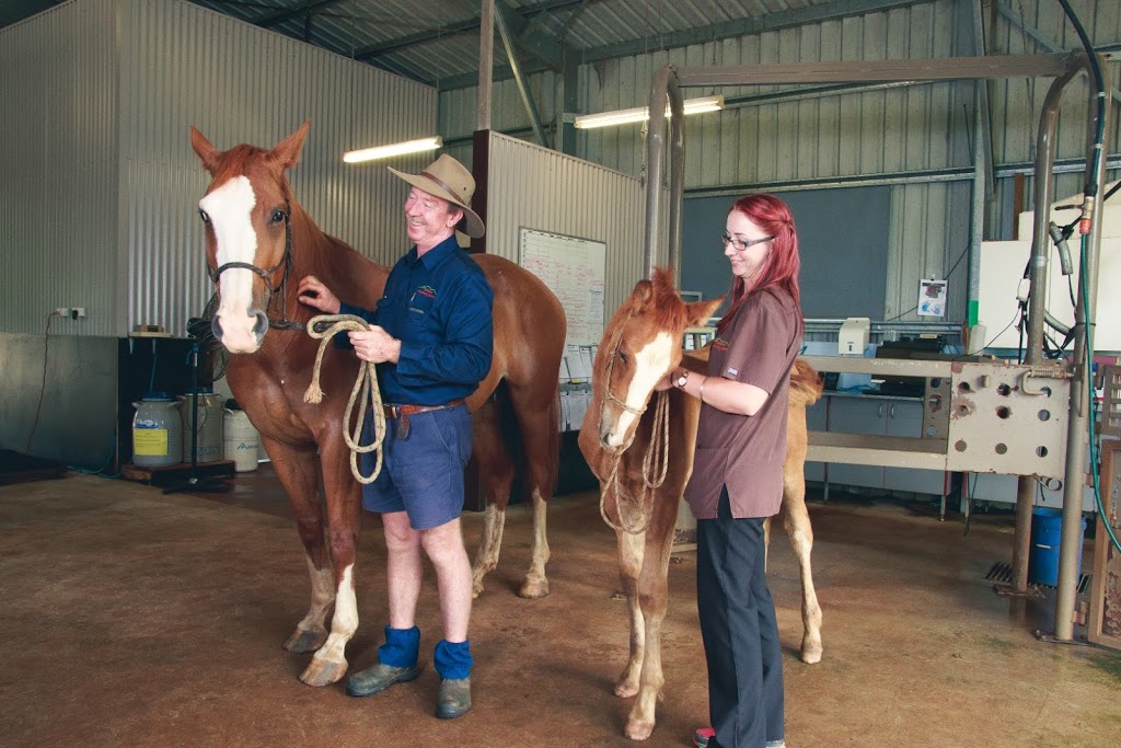 Tableland Veterinary Service - Malanda | veterinary care | 159 Malanda Atherton Rd, Malanda QLD 4885, Australia | 0740967500 OR +61 7 4096 7500