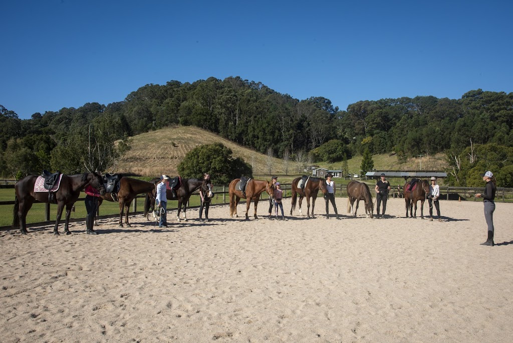 Mullumbimby Equestrian Centre | 310 Left Bank Rd, Mullumbimby Creek NSW 2482, Australia | Phone: 0413 959 708