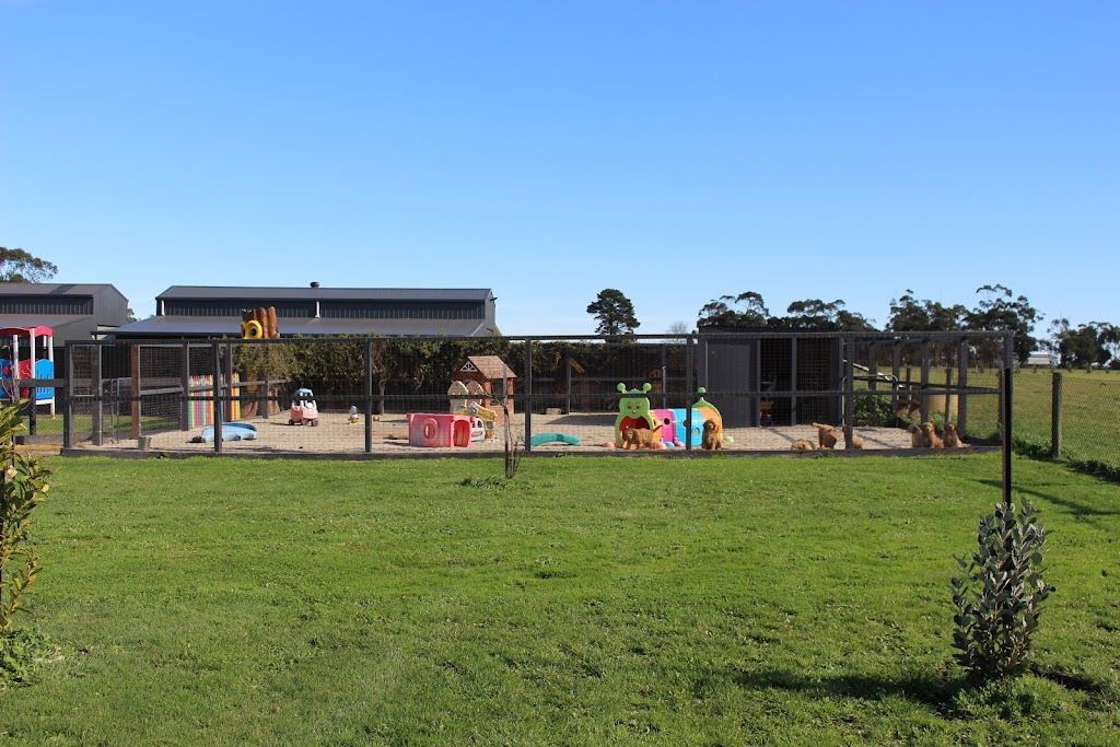Bollies Oodle Farm Stay | off Yulungah Road, 166 Hillbricks Rd, Trafalgar VIC 3824, Australia | Phone: 0401 510 737