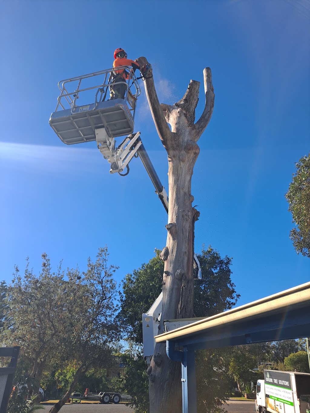 Outlook Tree Solutions | 125 Larrys Mountain Rd, Moruya NSW 2537, Australia | Phone: 0428 118 425
