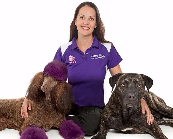 Animal Magic Pet Grooming | 49 Cypress Dr, Broadbeach Waters QLD 4218, Australia | Phone: (07) 5575 2200