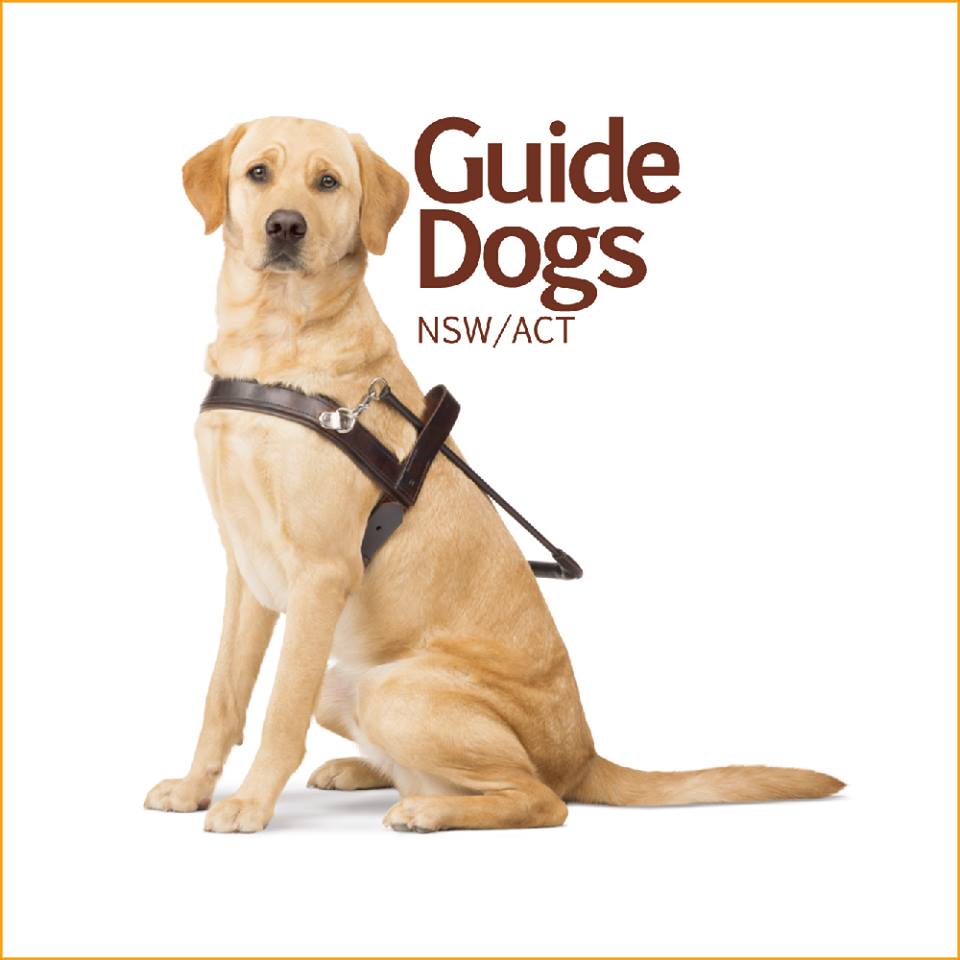 Guide Dogs Centre - Glossodia | 1 Spinks Rd, Glossodia NSW 2756, Australia | Phone: (02) 4579 7555