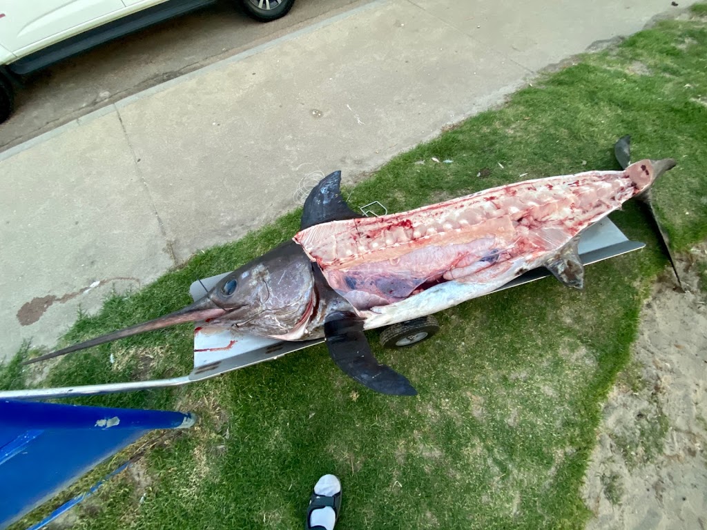 Far Out Charters | Skate park Boat Ramp next to the bridge, Lakes Entrance VIC 3909, Australia | Phone: 0428 401 819