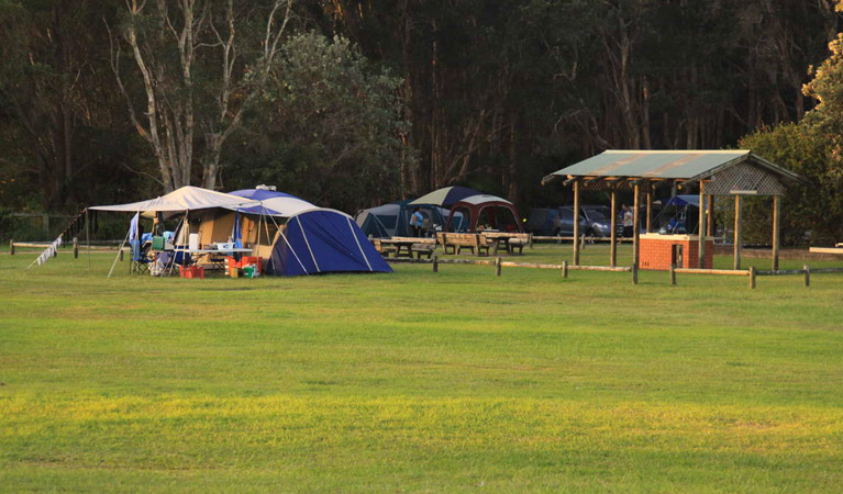 The Ruins campground and picnic area | campground | Ruins Camp Road, Booti Booti NSW 2428, Australia | 0265910300 OR +61 2 6591 0300