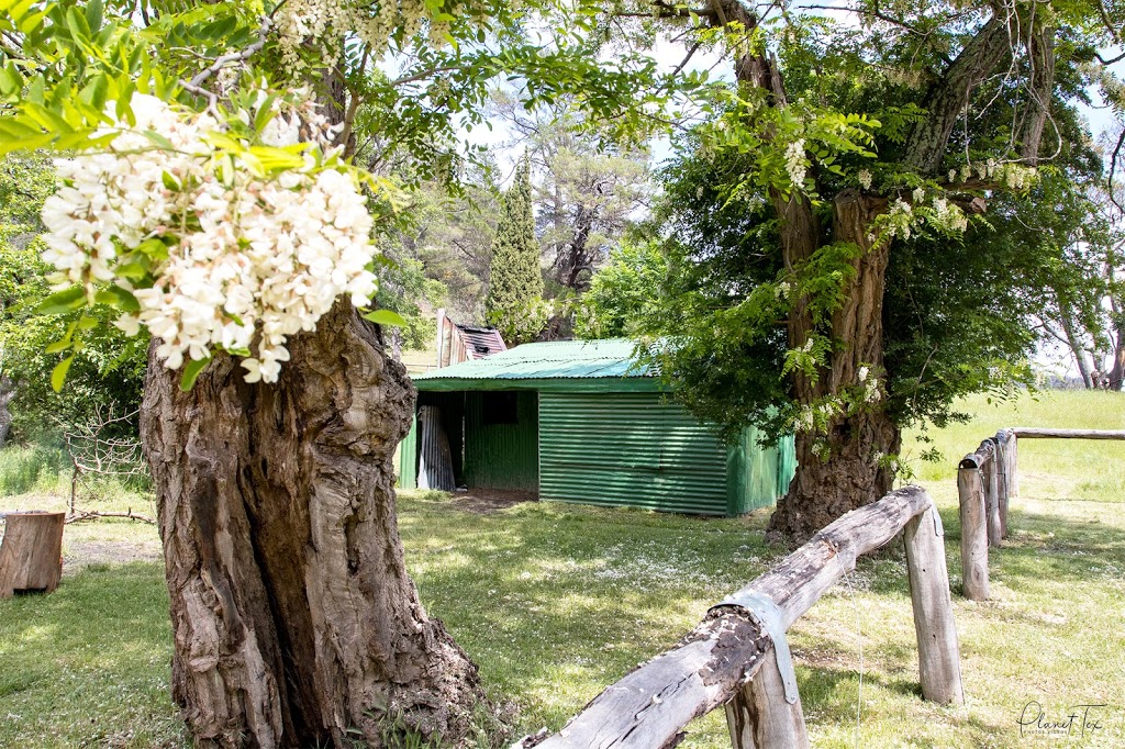 Howitt Hut | campground | Howitt Plains VIC 3858, Australia