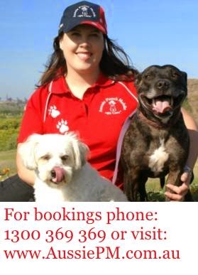 Aussie Pooch Mobile Dog Wash and Grooming Franchise | 1 Magellan Pl, Bonny Hills NSW 2445, Australia | Phone: 1300 369 369