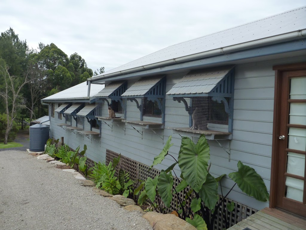 Aragon Cattery | veterinary care | 10A Wylds Rd, Arcadia NSW 2159, Australia | 0296532129 OR +61 2 9653 2129