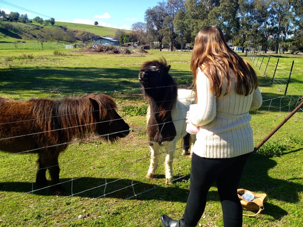 Jugiong Motor Inn | lodging | 145 Riverside Dr, Jugiong NSW 2726, Australia | 0269454269 OR +61 2 6945 4269