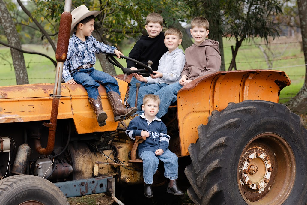 Crestview Minis - Highland Galloway Minature Cow Experience | Bells Rd, Grose Vale NSW 2753, Australia | Phone: 0414 700 540