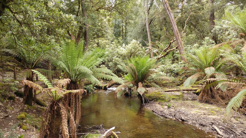 Russell Falls Holiday Cottages | 40 Lake Dobson Rd, National Park TAS 7140, Australia | Phone: (03) 6288 1198