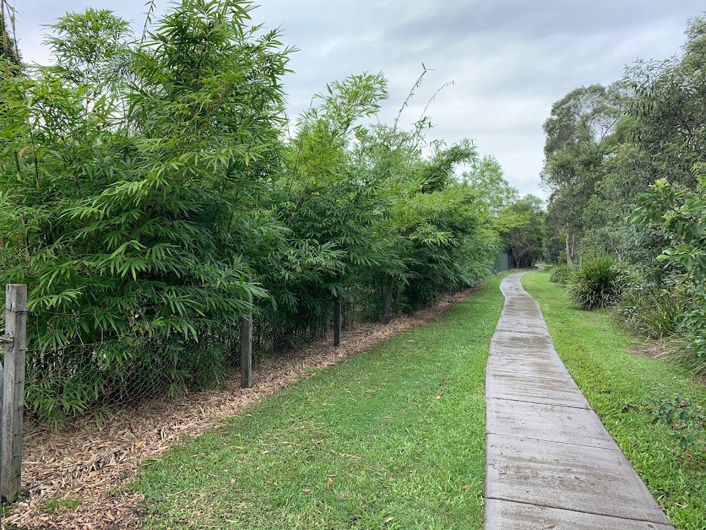 Queensland Bamboo & Palms | Nectar Way, Burpengary East QLD 4505, Australia | Phone: 0414 920 461