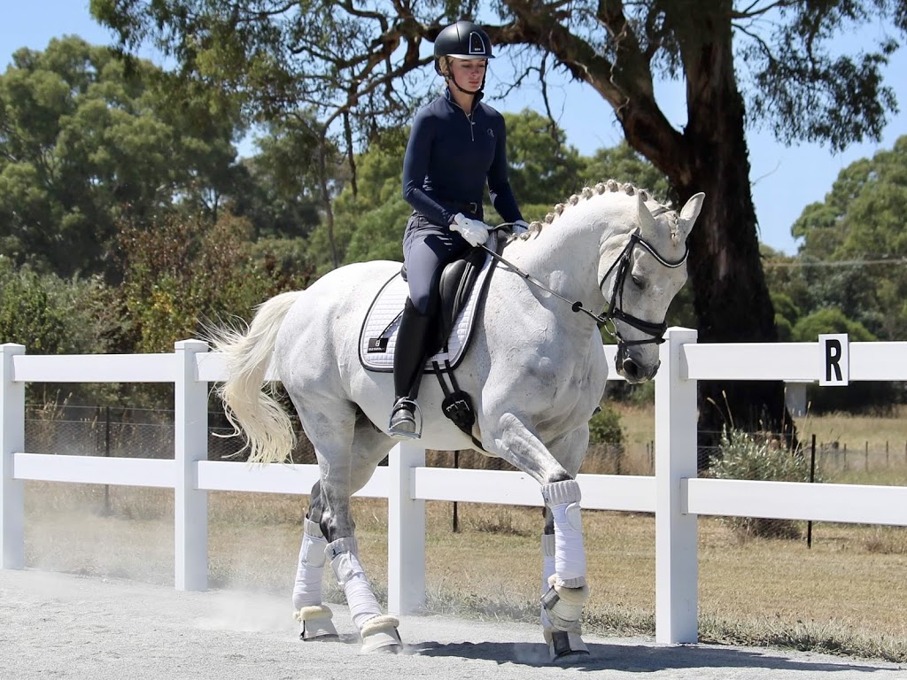 Apex Performance Horses |  | 19 Lakeview Dr, Murrumbateman NSW 2582, Australia | 0439247916 OR +61 439 247 916